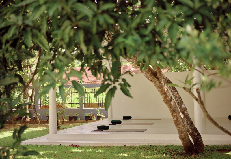 Yoga Urlaub in Süd Sri Lanka